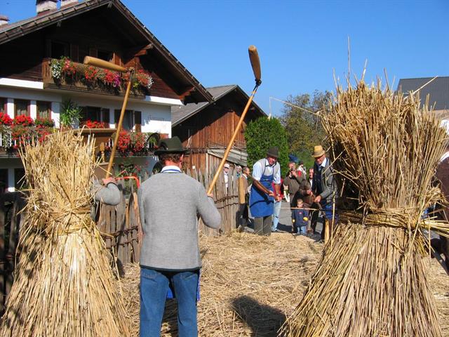 Foto per Festa del contadino con mercatino